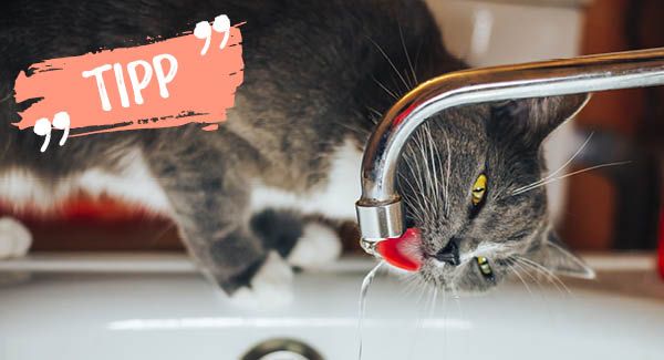 Ein ganz neues Trinkerlebnis