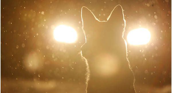 bpa – Soyez visible