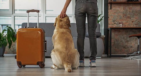 Bundesamt für Veterinärwesen – Reisen mit Heimtieren