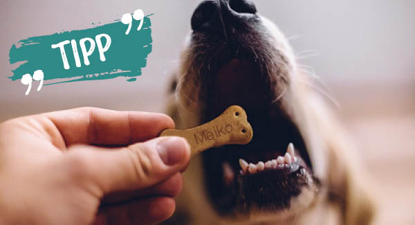 Jedes Leckerli zählt