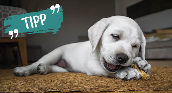 Une délicieuse récompense