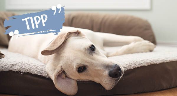 Rückzugsmöglichkeiten