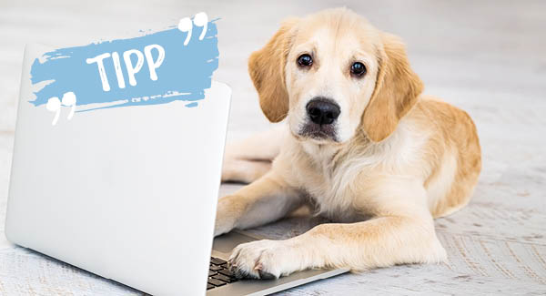 Für den Fall der Fälle