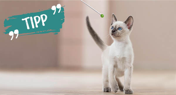 Und es hat «Click» gemacht