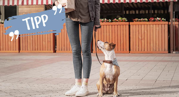 Vorsicht Erschreckungsgefahr