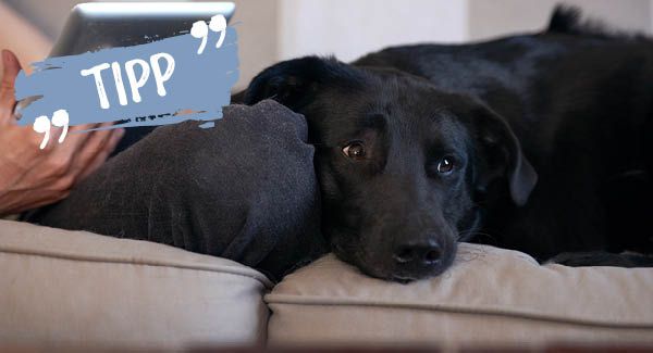 In der Ruhe liegt die Kraft