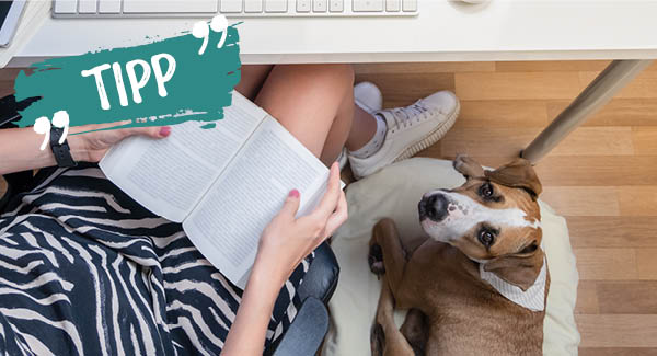 Für Leseratten und Wissensdurstige