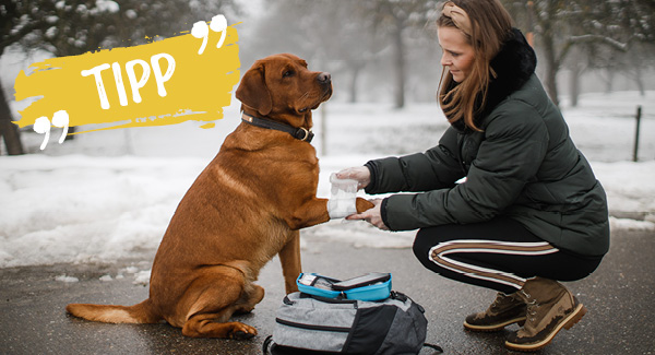 Für alles bereit – mit Sicherheit