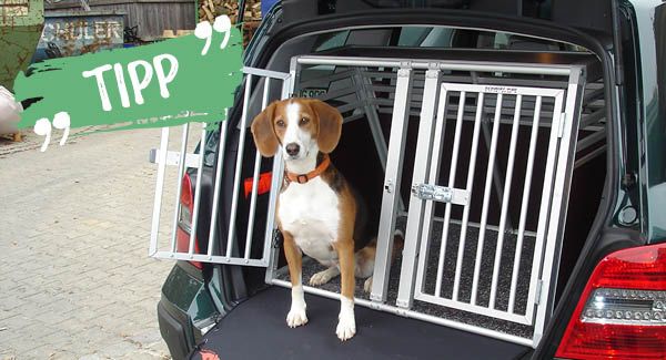 Wählen Sie bei Transportboxen immer die richtige Grösse