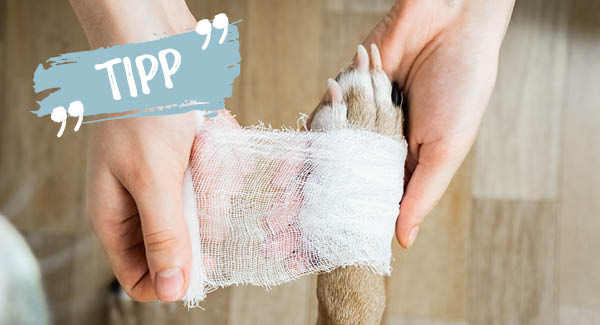 Prêt à tout – en toute sécurité