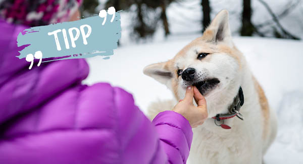 Une délicieuse récompense