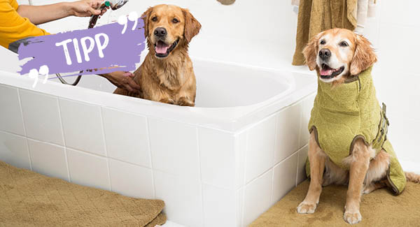 De mouillé à sec en un rien de temps