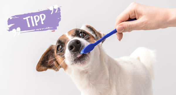 Pour un «sourire» étincelant