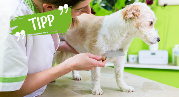 Nach dem Spaziergang