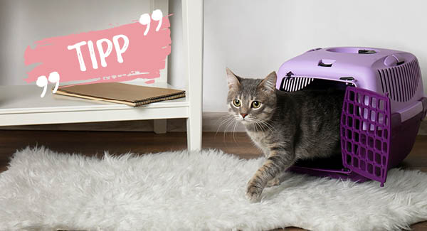 Sicher und entspannt auf Reisen