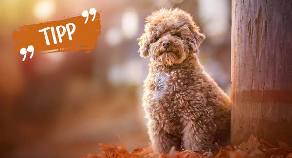 Gestärkt in den Herbst