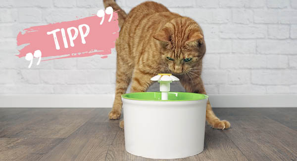 Ein ganz neues Trinkerlebnis