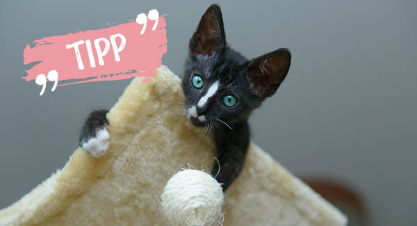 Schlafgelegenheit mit tollem Ausblick