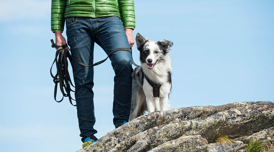 Randonnée & Trekking