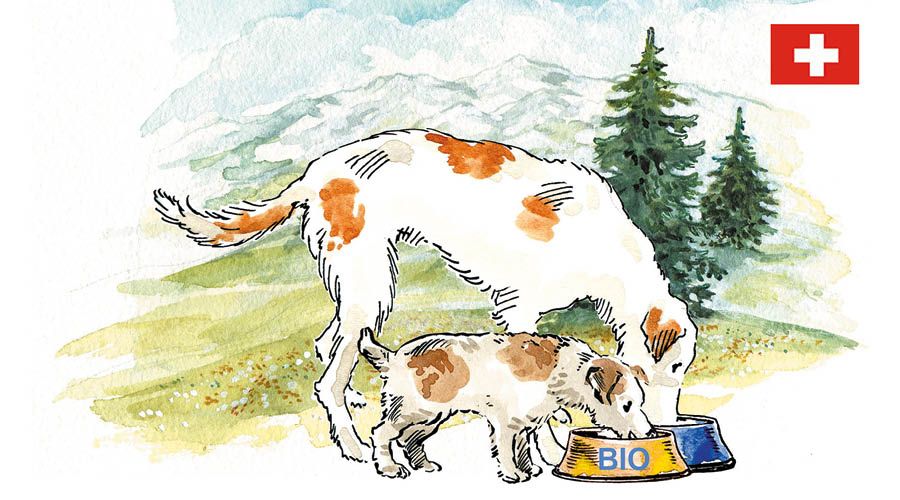 Yaspis Tierliebe für Hunde