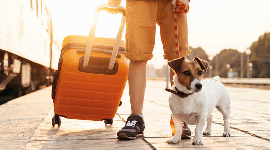 Unterwegs mit dem Zug