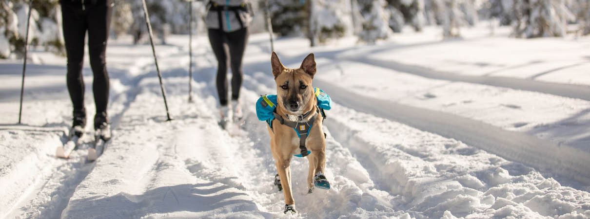 Les Vacances d'hiver 1