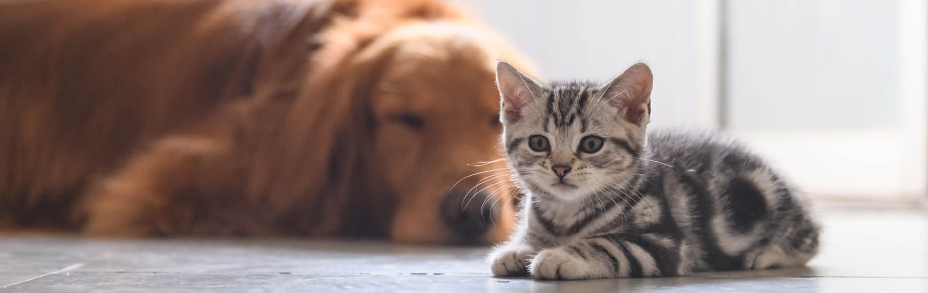 Feiertage & Gewitter 5