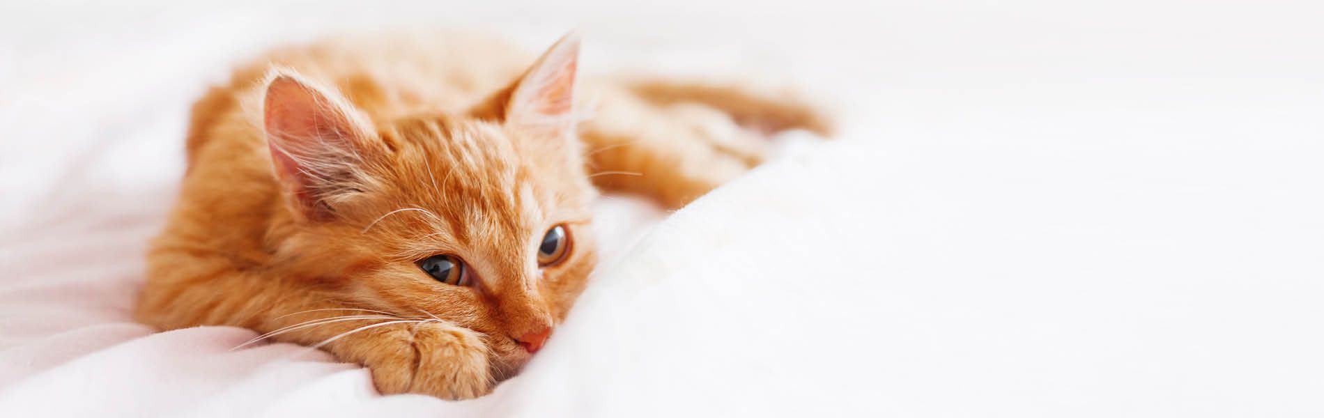 Feiertage & Gewitter 3