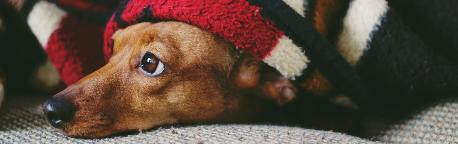 Feiertage & Gewitter 6