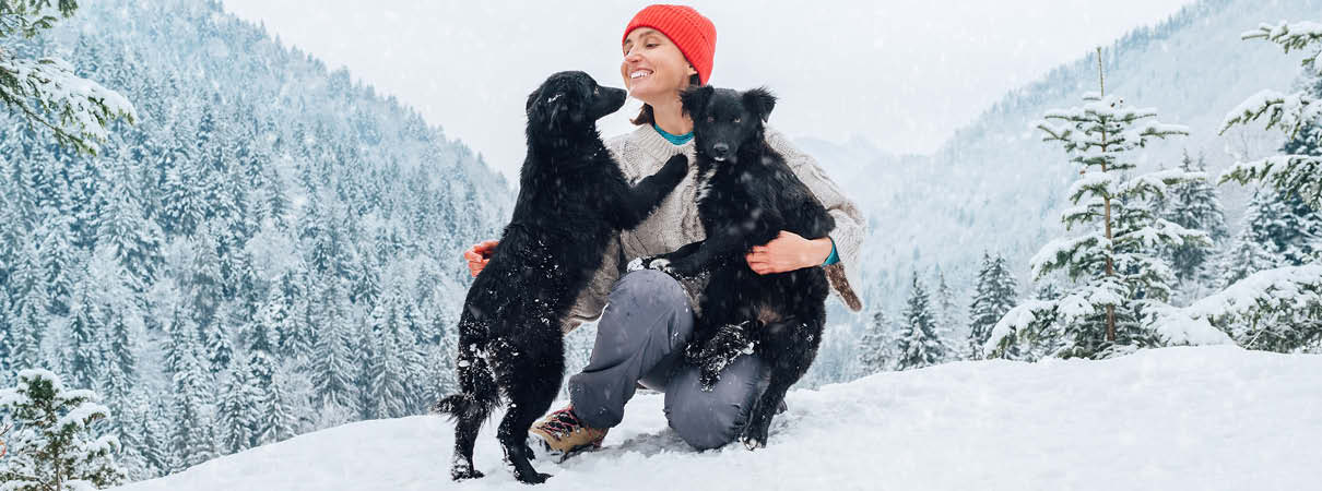 Les Vacances d'hiver 4