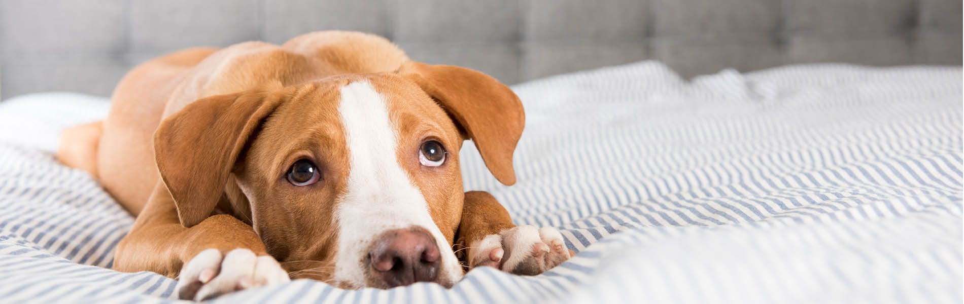 Feiertage & Gewitter 1