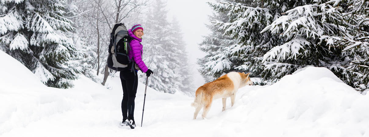 Les Vacances d'hiver 2