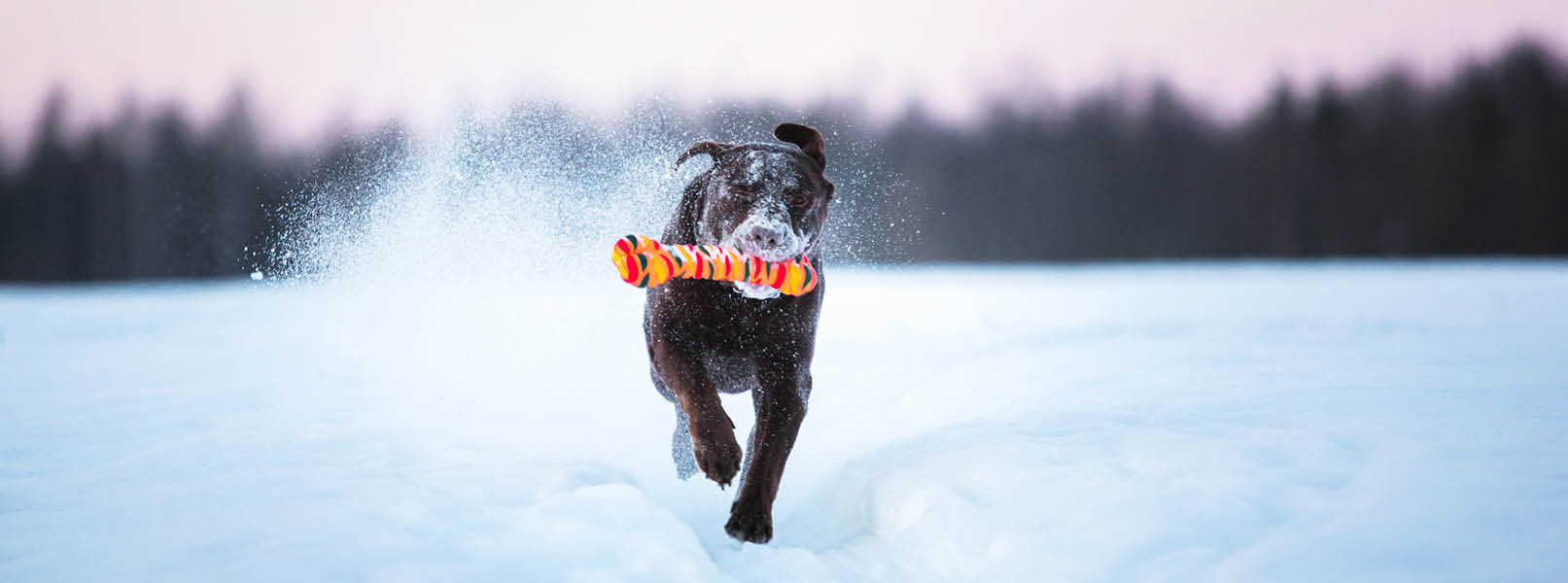 Les Vacances d'hiver 5