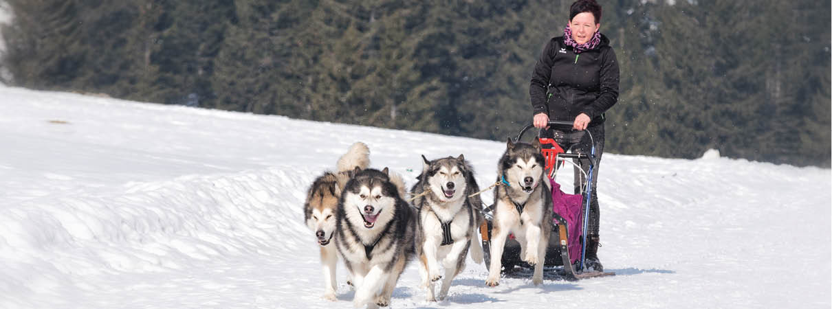 Les Vacances d'hiver 3