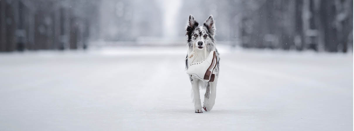 Les Vacances d'hiver 6