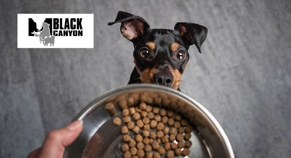 Black Canyon – Conforme à l'espèce, sans compromis