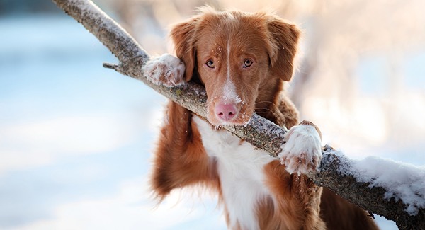 Pflegetipps für nass-kalte Tage