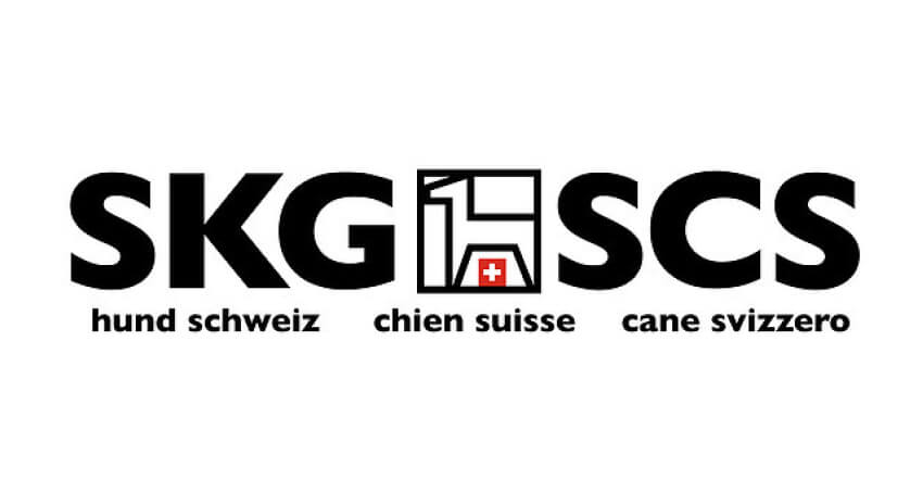 logo-skg