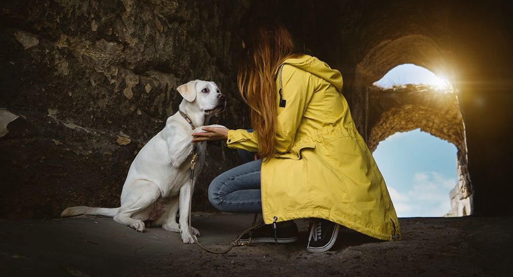Was die Hundemutter ihrem Welpen vermittelt, prägt den Hund entscheidend fürs ganze Leben.