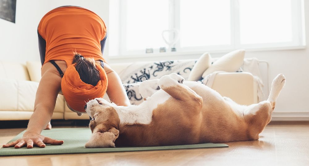 Fit für den Frühling