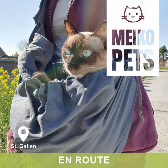 L’écharpe de portage 4 Lazy Legs