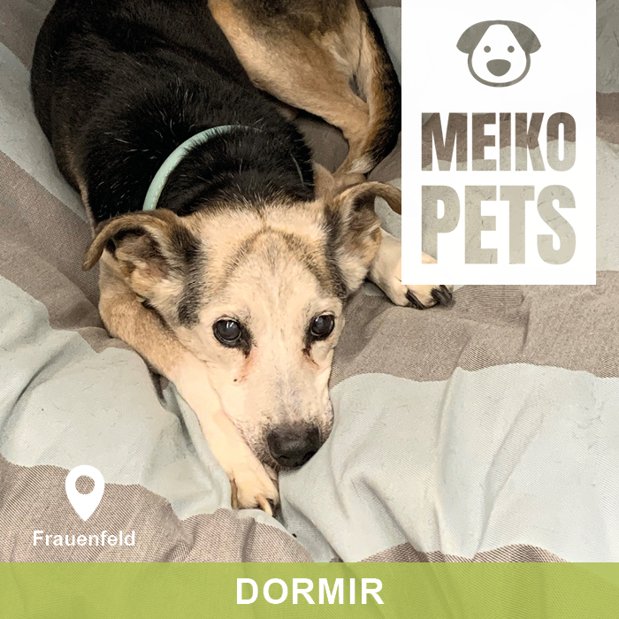 Darling Little Place