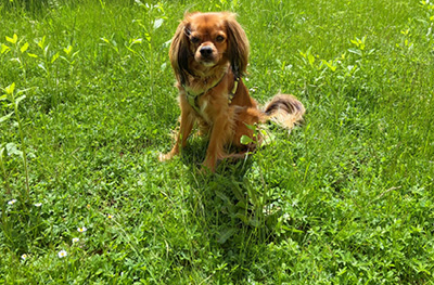 Tier Manuela Talkenberger